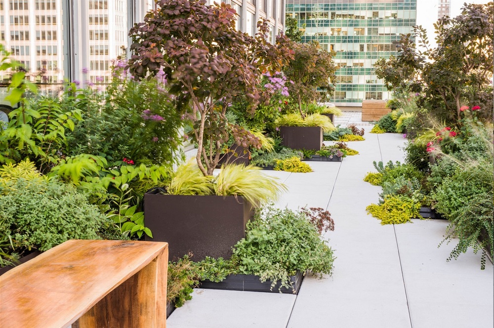 Improve Your Property Values and Save Money with a Rooftop Garden