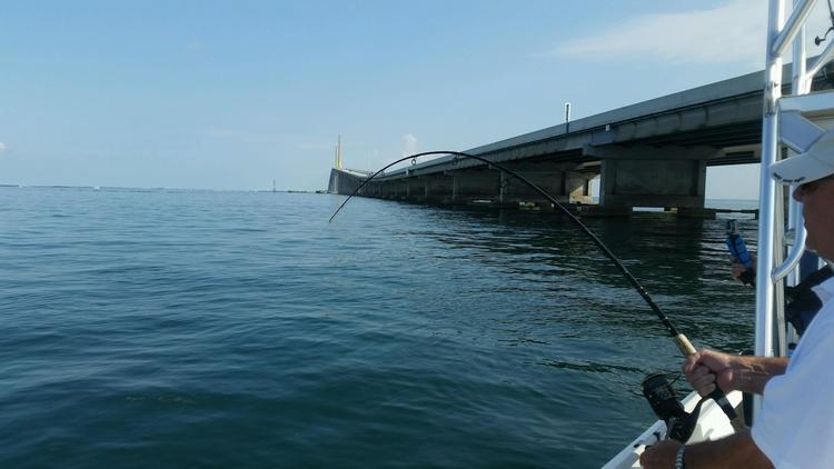 Tarpon Fishing Gulf of Mexico Anna Maria Island and Tampa Bay