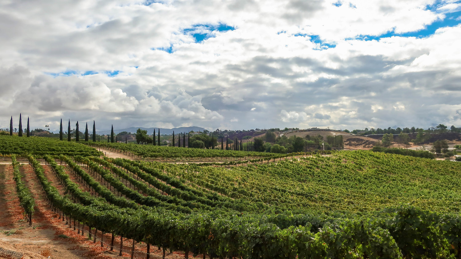 Temecula Wine Tasting on a Budget — Local Wally's Guide to San Diego