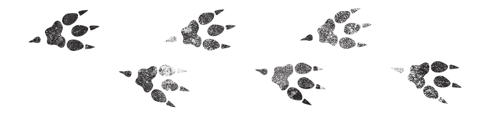 WaldosWeekly_Monster-Footprints-2.jpg