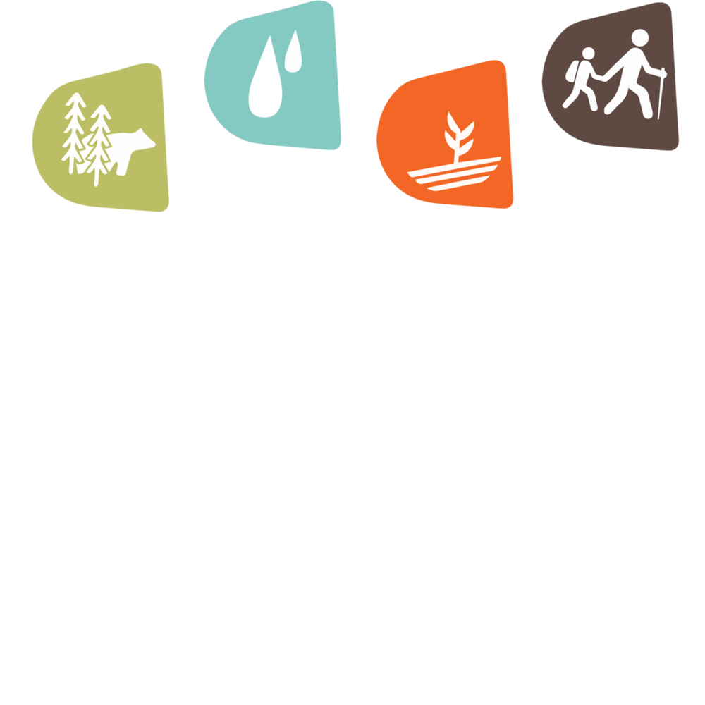 Ammonoosuc Conservation Trust logo