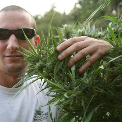 Chief Cannabis Officer Nico Escondido
