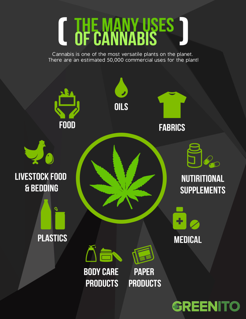 Cannabis Pattaya