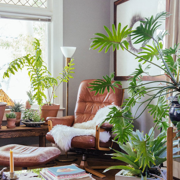 House Plants Heal — Sarah Greenman