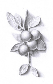 Featured image of post Shading Pencil Sketch For Kids / How to sketch like a pro!