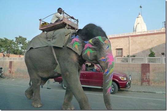 kirsty-whyte-blog-india-china (5)