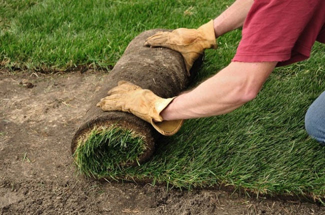 How can someone install sod?
