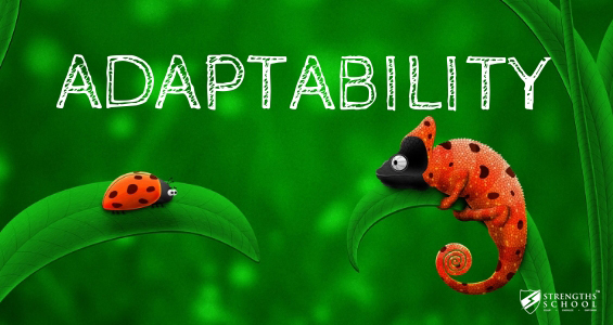 Image result for adaptability