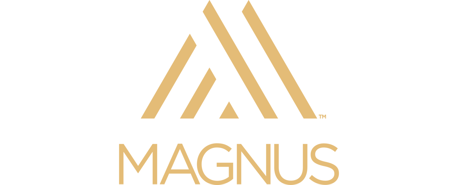 Resultado de imagen para Magnus Media
