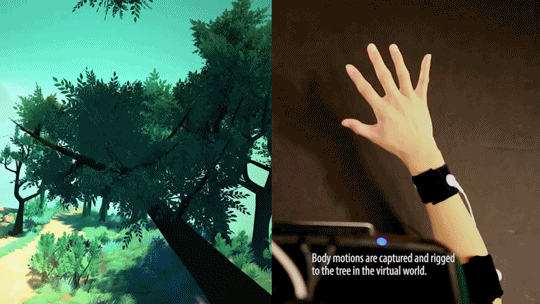 TreeSense permette di gestire i rami dell’albero virtuale con le dita grazie alla tecnologia Leap Motion