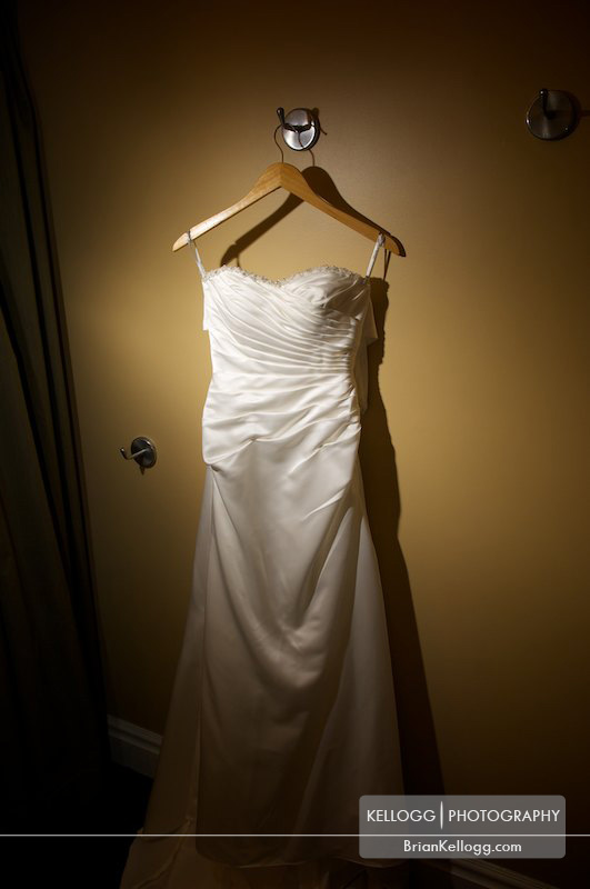 Franklin Park Conservatory Wedding Dress