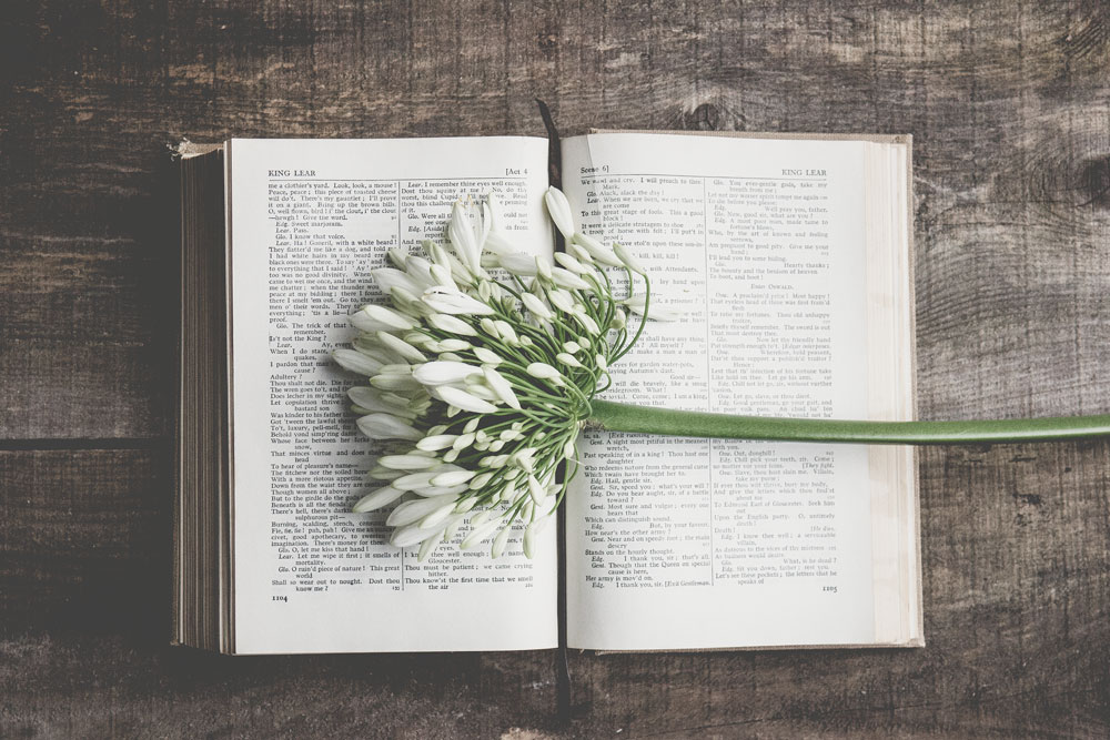 flower-and-book.jpg