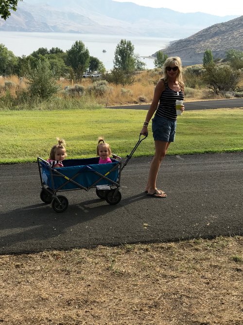 Grandma (me) taking two of the babies for a walk.