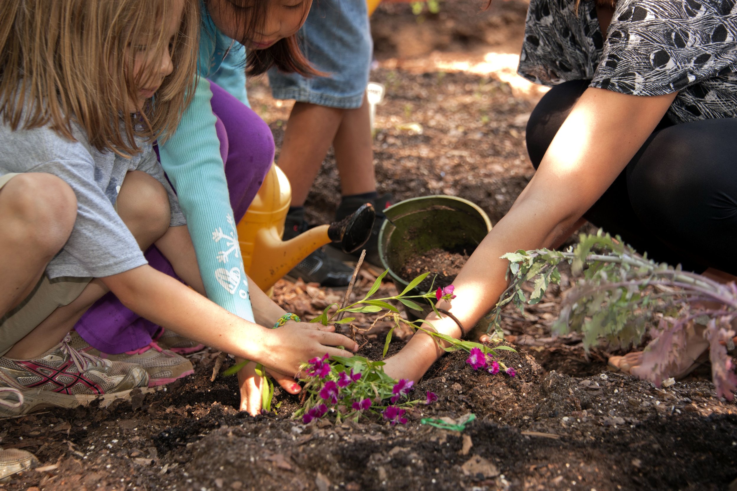 Teaching Kids to Garden — Bob's Market and Greenhouses