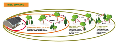Image demonstrating tree / shrub spacing from the National Fire Protection Association