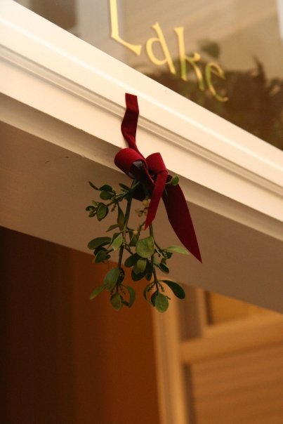  Winter Wedding Decoration - Christmas Mistletoe | He and She Eat Clean 