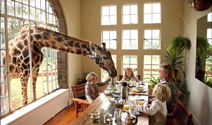 「Giraffe Manor」の画像検索結果