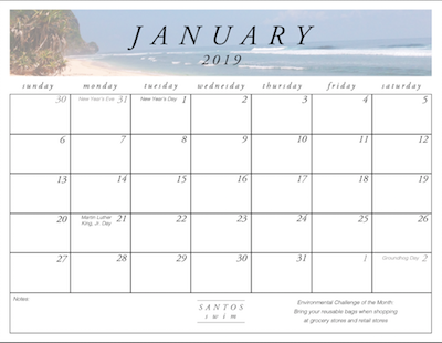 January Calendar Download Preview