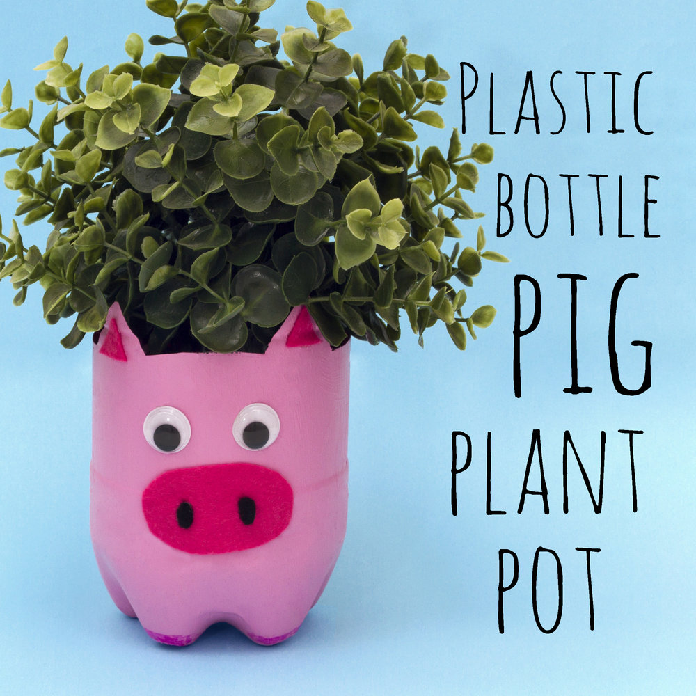 Plastic Bottle Pig Plant Pot Doodle And Stitch