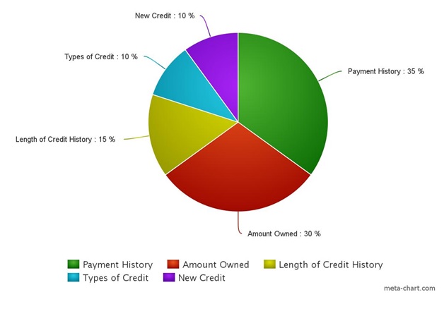 How do you check your credit history?