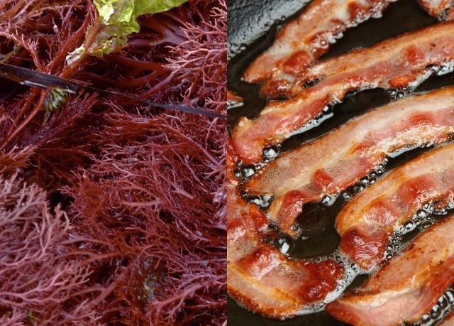 seaweed-and-bacon.jpg