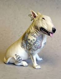 Tattooed dog.jpg
