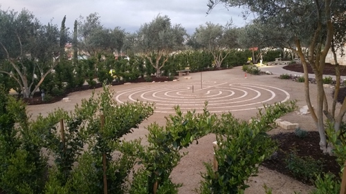 Gardens of Allegretto Vineyard Resort.jpg