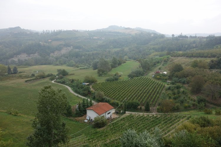 Brachetto Countryside - Commune di Rocchetta Palafea (2).jpg