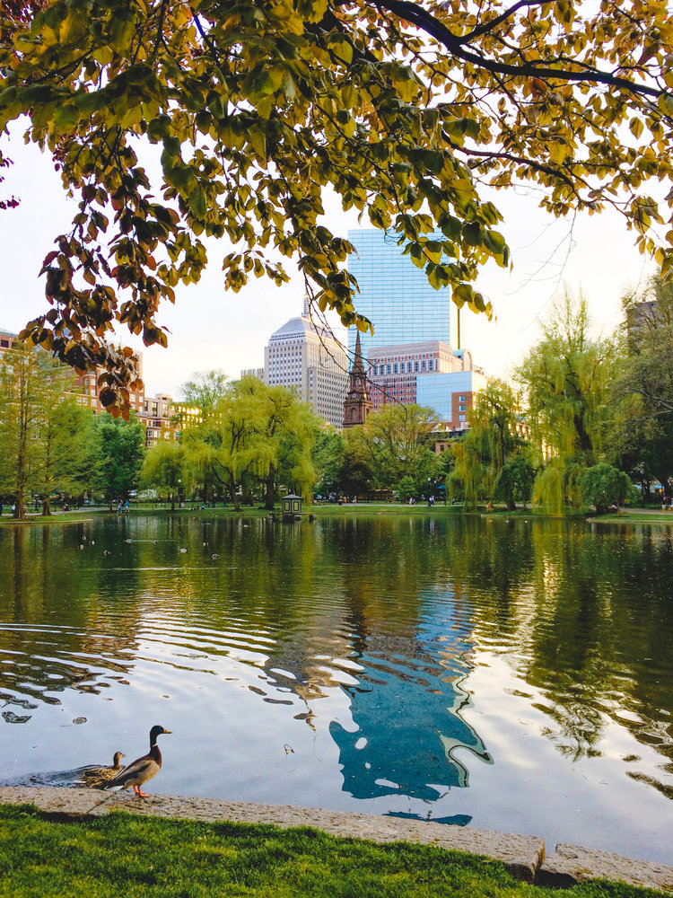 Top reasons to visit Boston and things to see Public Garden Common Pond