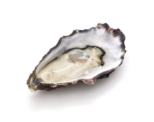 zinc-oysters-How-to-Stimulate-Your-Vagus-Nerve-for-Better-Mental-Health-brain-vns-ways-treatment-activate-natural-foods-depression-anxiety-stress-heart-rate-variability-yoga-massage-vagal-tone-dysfunction