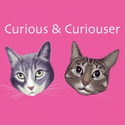   Curious and Curiouser Podcast 