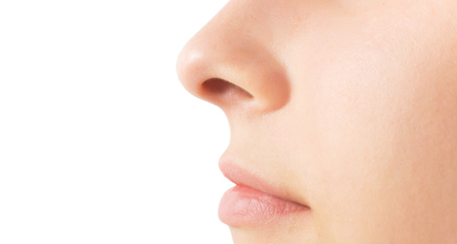 Image result for nose