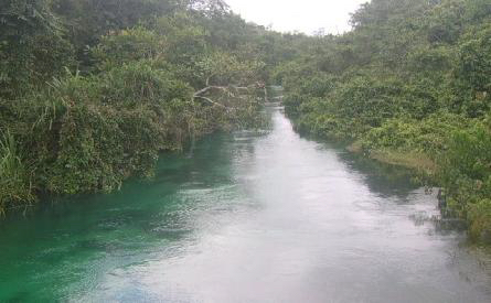 Ethiope river blog pic.jpg