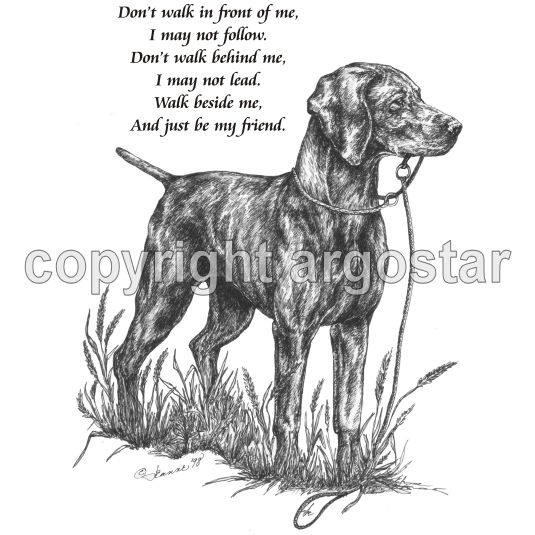 Note Cards - Vizsla Puppy Be My Friend — Argostar Dog Art