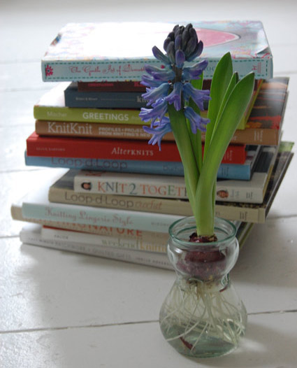 Hyacinths-for-Blogs-2.jpg