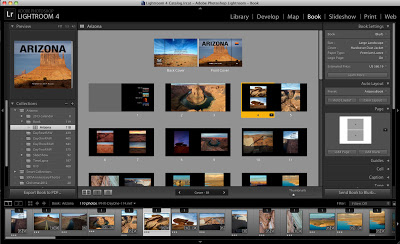 Screen shot of book module in Adobe Lightroom 4.