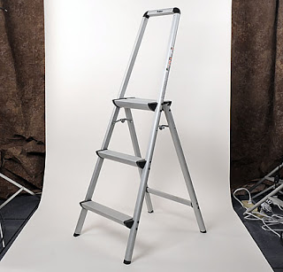 Using a Polder Ultra Light Aluminum 3-Step ladder allows you to see above the crowd.