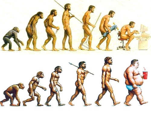Image result for images human evolution fast food