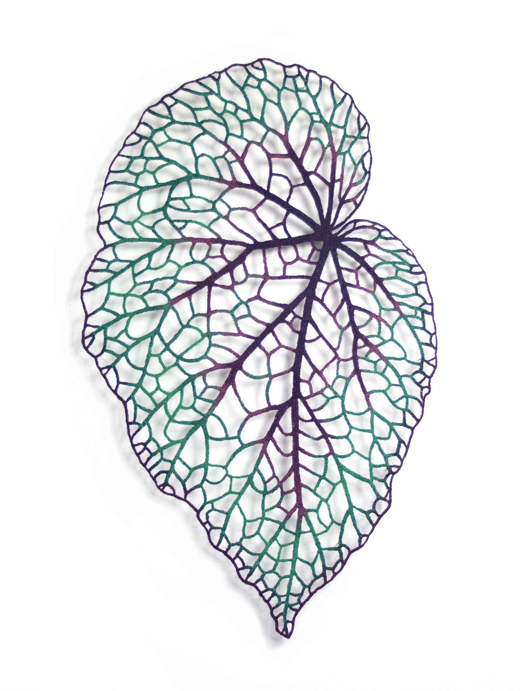 meredith woolnough feuille