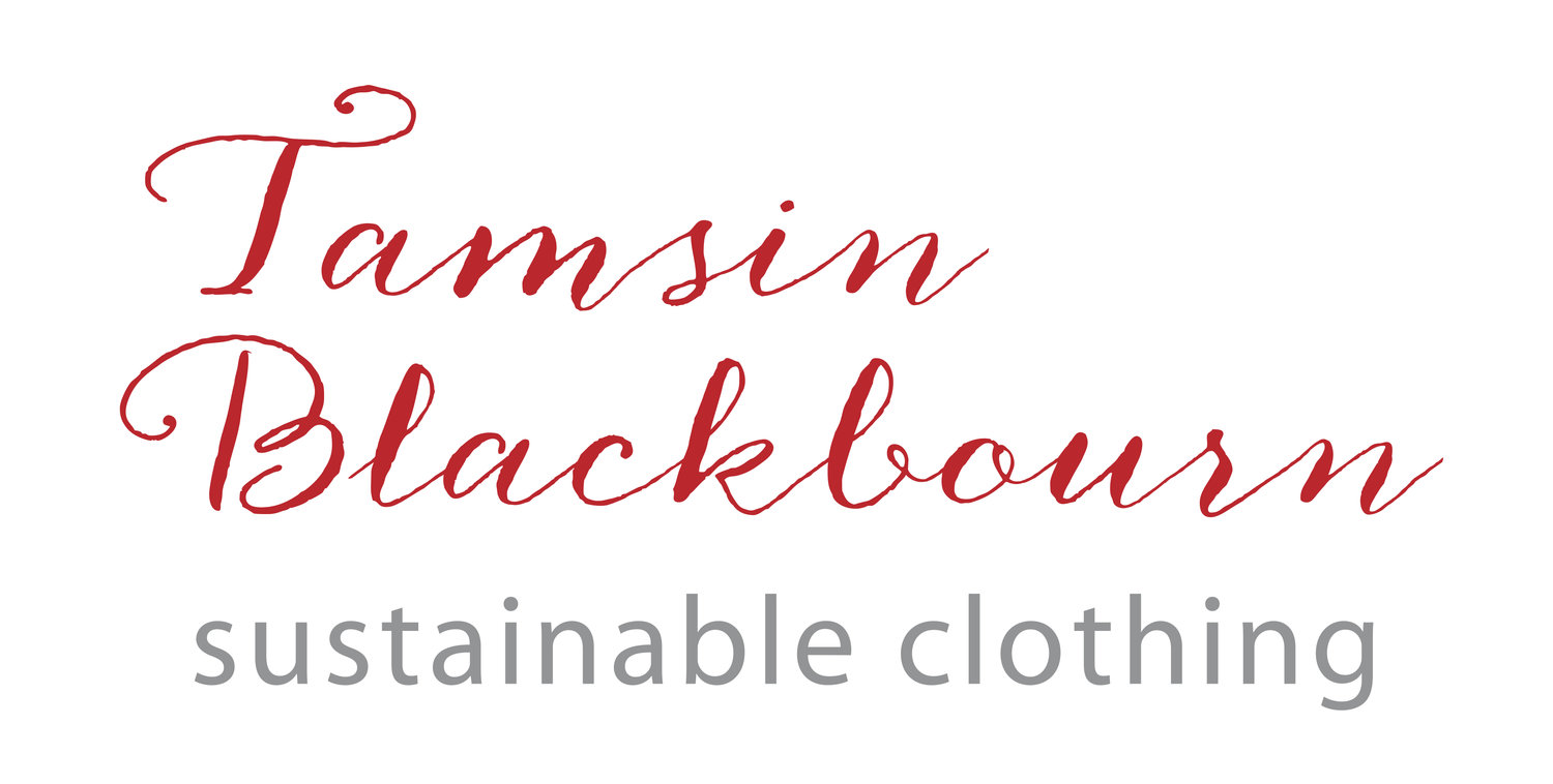 Tamsinblackbourn Book The Thoughtful Dresser By Linda Grant
