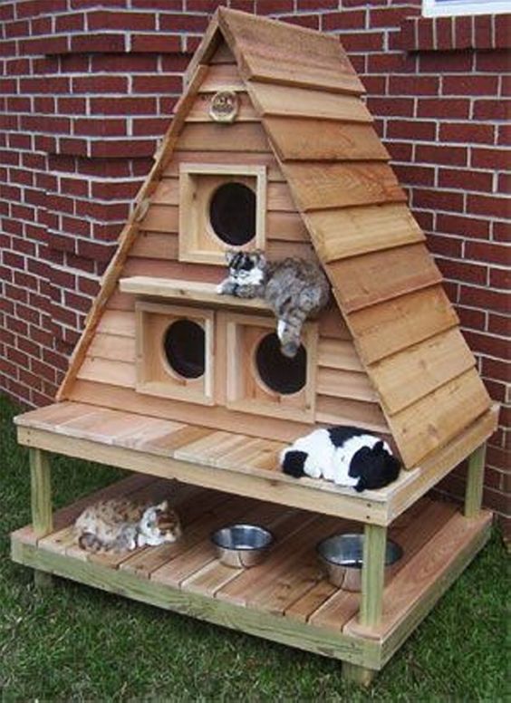 pallet outdoor cat house