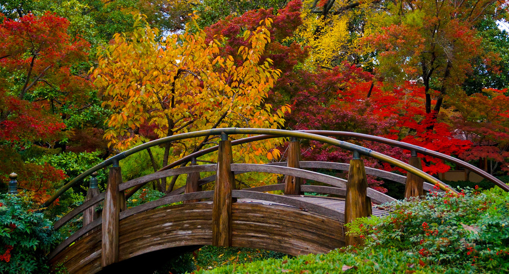 The Japanese Garden — Fort Worth Botanic Garden