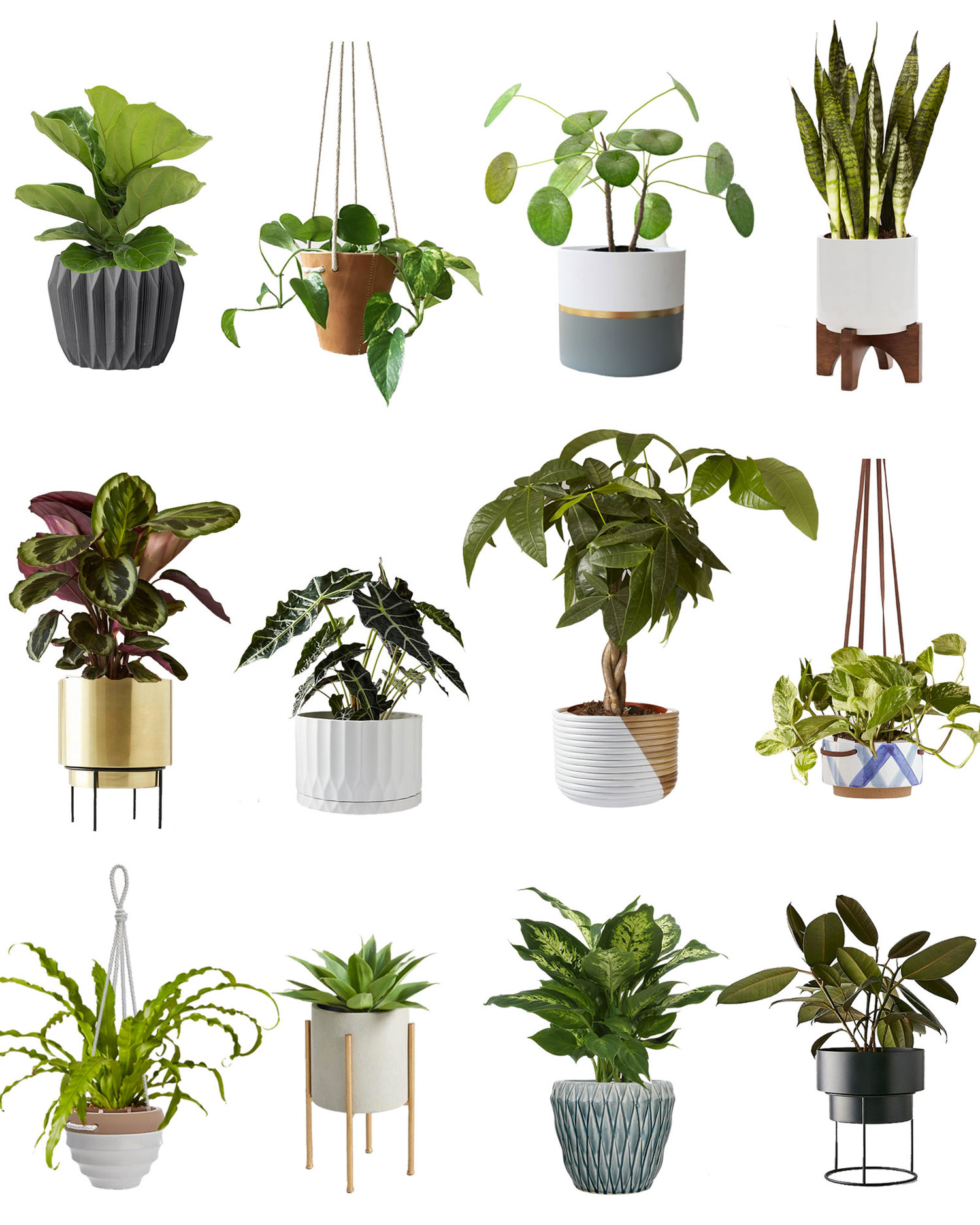 12 modern planters and how to pick the right one for your plant