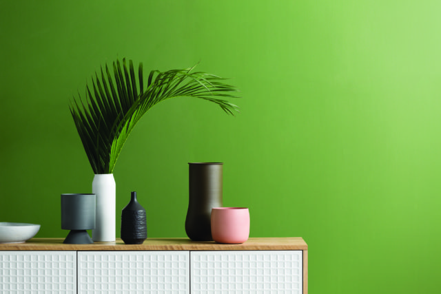 Haymes Interior Expressions low sheen acrylic in Pond Moss - part of the ‘Stark Beauty’ collection