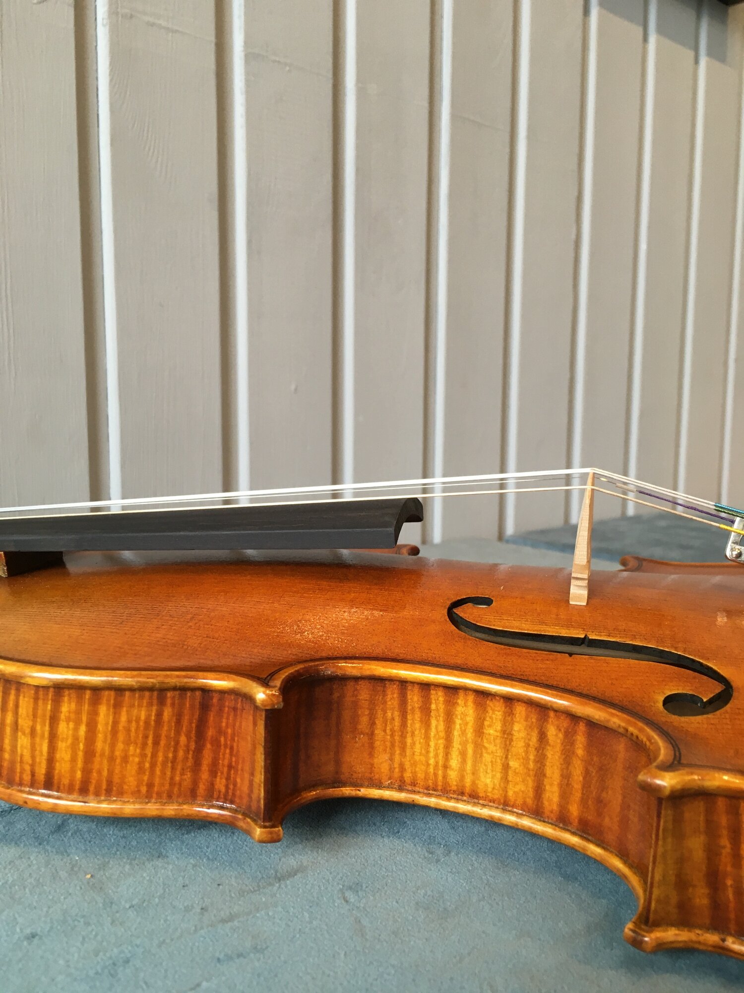 How do you clean a violin, viola or cello? — Tim Wright Fine Violins Scotland