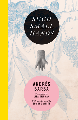 Image result for Andrés Barba, Such Small Hands,