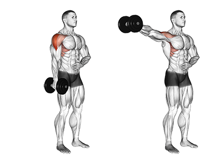 Image result for single arm lat Raises