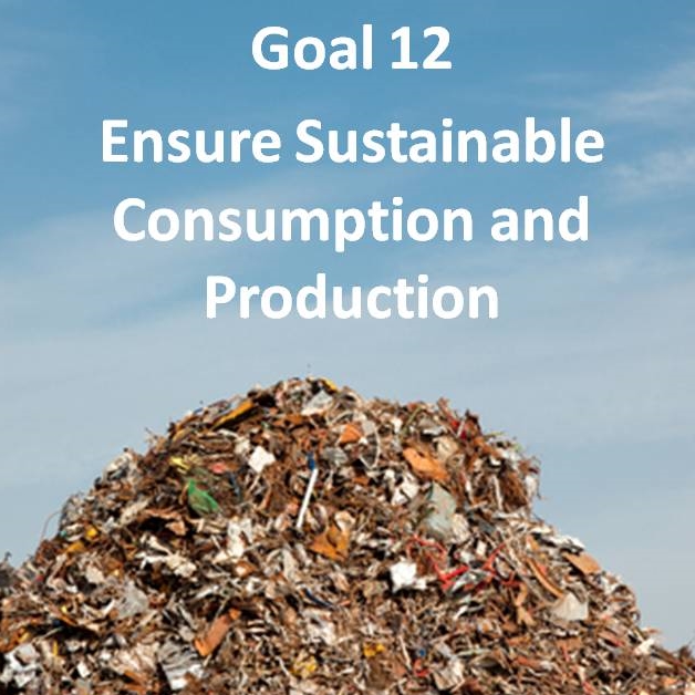sustainable consumption and production essay