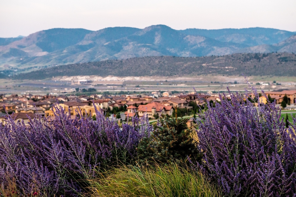 Home sales are strong in Solterra, the Lakewood foothills community west of Denver