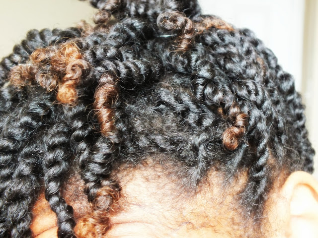 Natural Hair Mini Twists using Aunt Jackies Curl la la — Natural Hair Care  | Rayann410